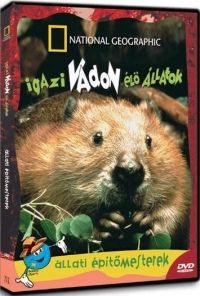  - N.G. - IGAZI VADONÉLŐ ÁLLATOK - ÁLLATI ÉPÍTŐMESTEREK (DVD)