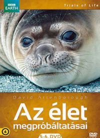 több rendező - Az élet megpróbáltatásai 5-6. (2 DVD)