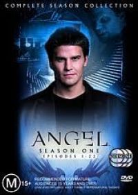 több rendező - Angel - 1. évad (6 DVD)