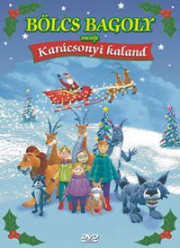 ismeretlen rendező - Bölcs Bagoly meséje - Karácsonyi kaland (DVD)