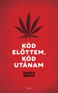 Varga Bence - Köd előttem, köd utánam