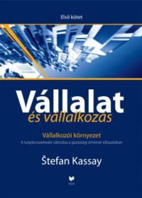 Stefan Kassay - Vállalat és vállalkozás I.