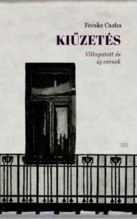 Fecske Csaba - Kiűzetés