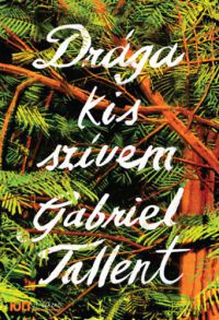 Gabriel Tallent - Drága kis szívem