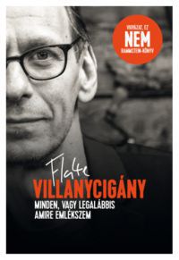 Flake Lorenz - Villanycigány