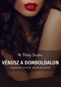 N. Fülöp Beáta - Vénusz a domboldalon