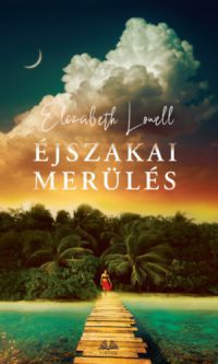 Elizabeth Lowell - Éjszakai merülés