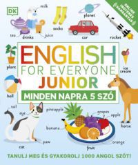  - English for Everyone - Junior