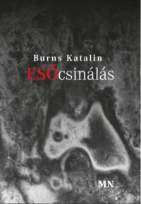 Burns Katalin - Esőcsinálás