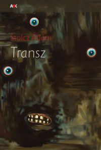 Stolcz Ádám - Transz