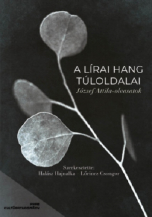 Halász Hajnalka (szerk.), Lőrincz Csongor (szerk.) - A lírai hang túloldalai