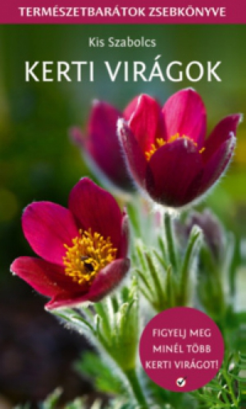 Kis Szabolcs - Kerti virágok