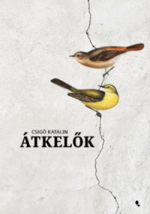 Csigó Katalin - Átkelők