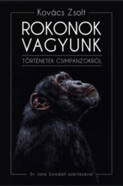 Kovács Zsolt - Rokonok vagyunk