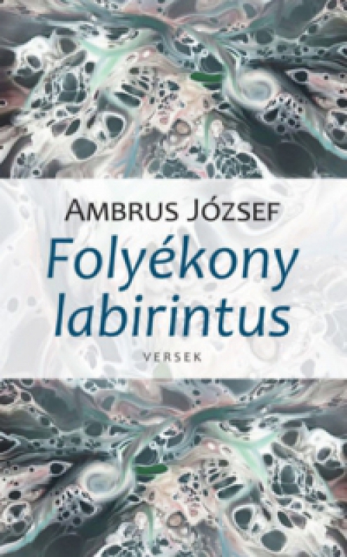 Ambrus József - Folyékony labirintus