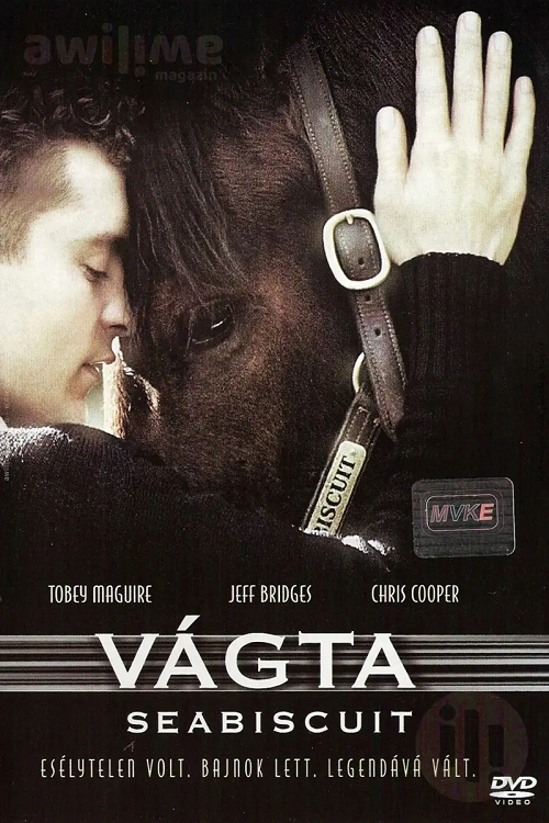 Gary Ross - Vágta (DVD)