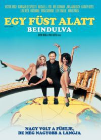 Wayne Wang, Paul Auster - Egy füst alatt - Beindulva (DVD)