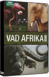 Nem ismert - Vad afrika 3. (DVD)