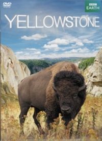Nem ismert - Yellowstone (DVD)