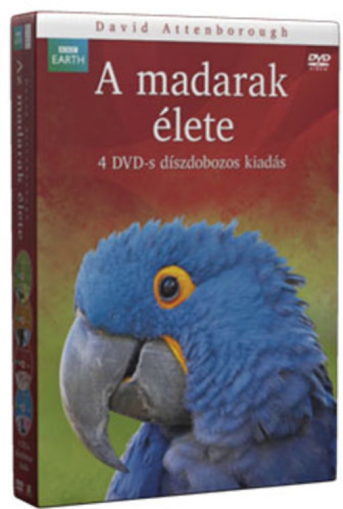 több rendező  - David Attenborough - A Madarak Élete *BBC* (4 DVD) *Díszdobozos*