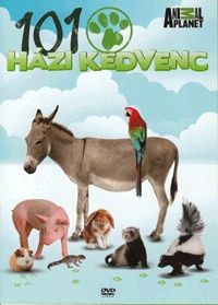 nem ismert - 101 Házi kedvenc - Pets 101 (DVD)