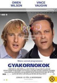 Shawn Levy - Gyakornokok (DVD)