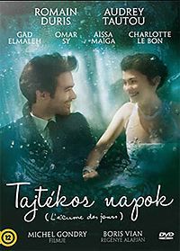 Michel Gondry - Tajtékos napok (DVD) *Antikvár-Kiváló állapotú*