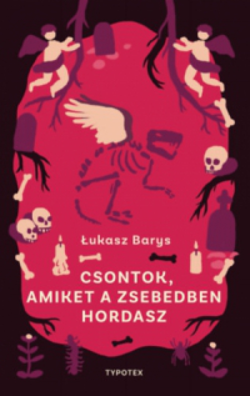 Łukasz Barys - Csontok, amiket a zsebedben hordasz