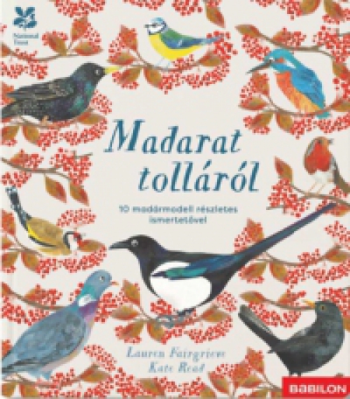 Lauren Fairgrieve - Madarat tolláról - 10 madármodell részletes ismertetővel