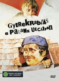 Mihályfy Sándor - Gyerekrablás a Palánk utcában (DVD) *Antikvár-Kiváló állapotú*