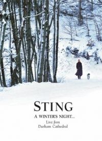 több rendező - Sting: A Winter (DVD)