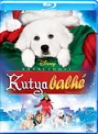 Robert Vince - Karácsonyi kutyabalhé (Blu-ray)