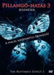 Pillangó-hatás 3: Jelenések (DVD)