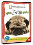 N.G. - Igazi Vadon Élő Állatok - Forró ebek, hűvös cicák (DVD)