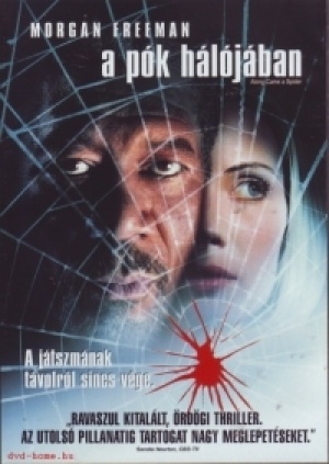 Lee Tamahori - A pók hálójában (szinkronizált változat) (DVD)