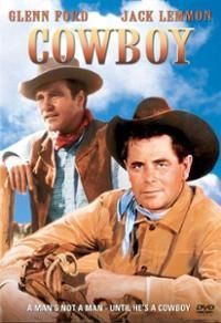 Delmer Daves - Cowboy (DVD)