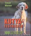 Kutya-testbeszéd - 100 jel és jelentésük, hogy értsük őket