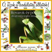 Telegdi Ágnes - Ó, azok a csodálatos állatok!  - Rovarok és pókok