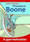 Theodore Boone 2. - A gyermekrablás