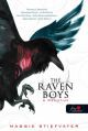 the-raven-boys-a-hollofiuk