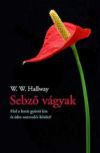 Sebző vágyak