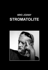 Bíró József - Stromatolite