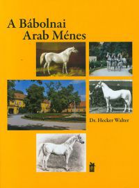 Hecker Walter - A Bábolnai Arab Ménes