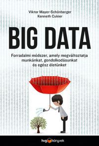 Kenneth Cukier; Viktor Mayer-Schönberger - Big data