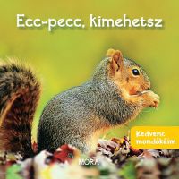  - Ecc-pecc, kimehetsz - Kedvenc mondókáim