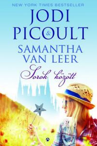 Samantha van Leer; Jodi Picoult - Sorok között