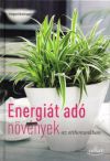 Energiát adó szobanövények