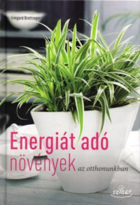 Irmgard Brottrager - Energiát adó szobanövények