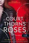 A Court of Thorns and Roses - Tüskék és rózsák udvara (Tüskék és rózsák udvara 1.)