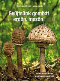Locsmándi Csaba; Vasas Gizella - Gyűjtsünk gombát erdőn, mezőn! - Gombaszedőknek, gombavizsgálóknak